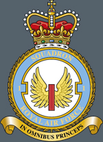1 Fighter Squadron Crest 150w