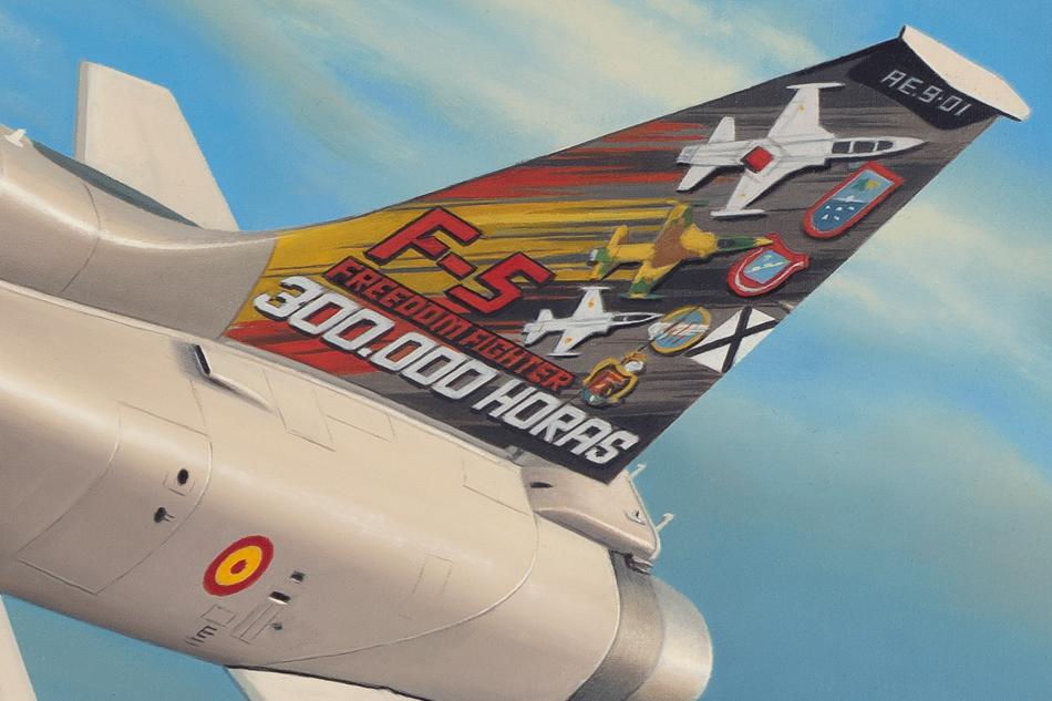Detail of the commemorative F-5 tail artwork