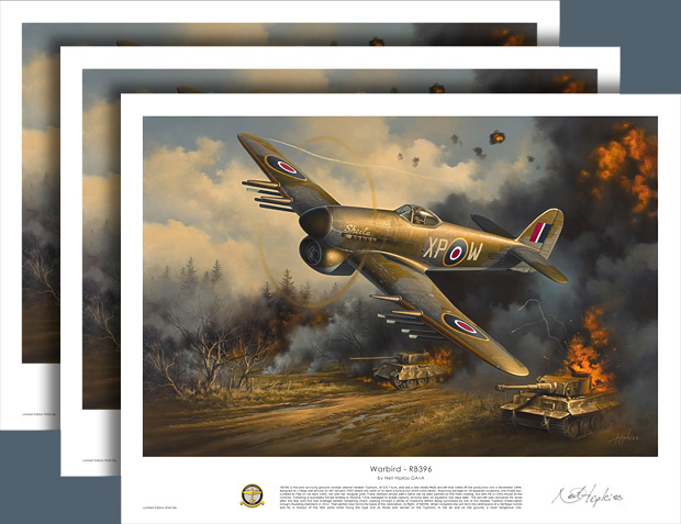 Warbird RB396 Prints
